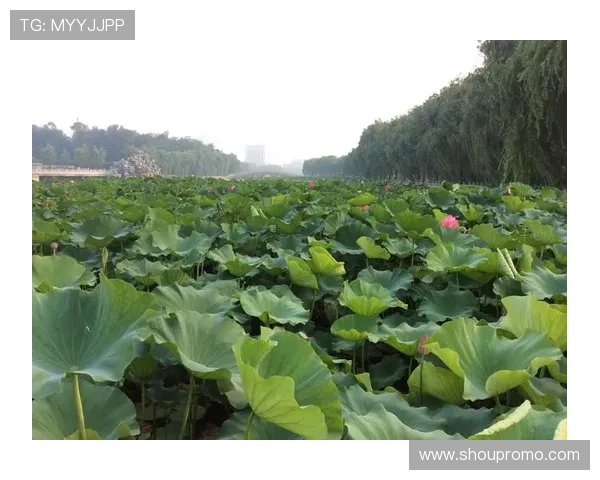 PG娱乐集团娱乐平台积极响应行业规范,推动绿色健康娱乐发展
