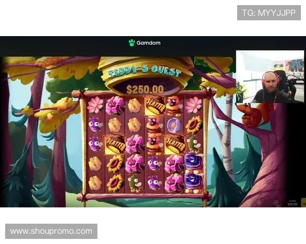 PG电子赏金大对决：热门玩法解析与实用技巧帮助新手快速上手